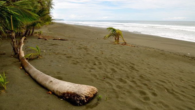 Viatge a Costa Rica Sostenible